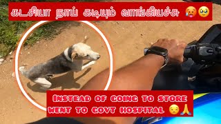 Navel Injection atlast 🥹😒 #dogs