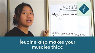 Leucine ft. Ketogenic and Glucogenic Amino Acids