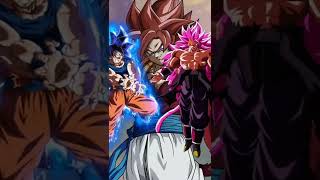 Goku vs Black Goku