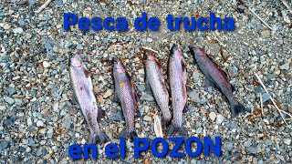 Pesca de TRUCHAS.