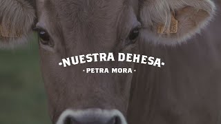 CONOCE NUESTRA FINCA - Petra Mora