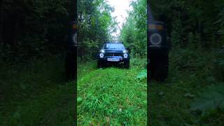 Лесная дорога #2024 #automobile #forest #лето #nature #лес #summer #нива #offroad #niva