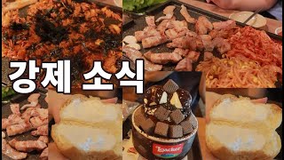 설빙 신메뉴 로아커더블초코설빙 김치볶음밥 소금크림빵 삽겹살 고기무한리필 항정살 목살 고깃집 된장찌개 소식좌 사이에 외로운 대식가 / 먹방 다이어트 브이로그