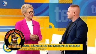 Mihai Nae @ Teo Show (Kanal D) | Escobar un caine scump (Campion)