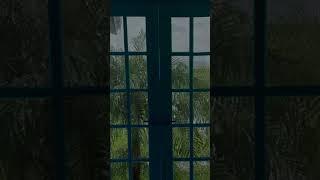 Glass Door Heavy Rain Falling with Trees Blowing