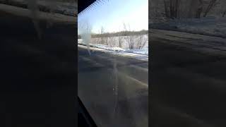 Поехал в город и встретил целый табун лошадей)#лошади #топ #врекомендации