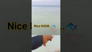 #fishing #shortvideo #offshorefishing #pinoyangler #fish #angler #subscribe #like #share