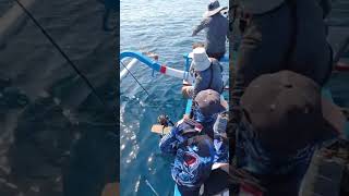 STRIKE RUBY SNAPER||SPOT BALI UTARA|| BAGUS ON FIRE|| #fishing #jigging #singaraja