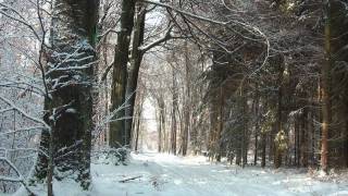 Im Winterwald 2. Teil