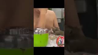 Lucu Kucing Ngempeng Rasa Keringat