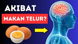 Apa yang Terjadi Jika Kamu Makan Telur Setiap Hari?