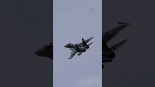 Sukhoi Su-30 RC Jet in Flight with Landing Gear Down! #short #shorts