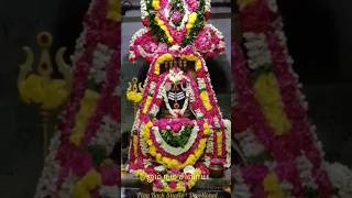 Sri Kasi Vishwanath Sivan Temple Vandalur Chennai | பிரதோஷம் live videos