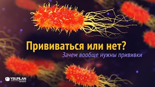 Прививаться или нет? Кому нужны прививки