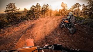 2 strokes on beautiful trail