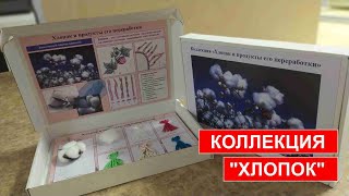 Коллекция  "ХЛОПОК И ПРОДУКТЫ ЕГО ПЕРЕРАБОТКИ"