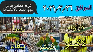 تقرير سوق الجمعه للعصافير mohamed_fouad#