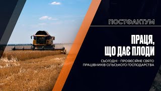 Праця, що дає плоди: сьогодні - професійне свято працівників сільського господарства