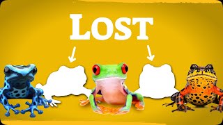 Searching for the world’s lost frogs