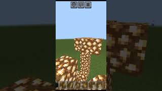 Minecraft tik tok hack #viral #shorts #minecraft