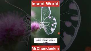 Rarest insects found|😊😊😊|| #shorts #short #viralvideo #viralvideo #ytshorts #trending #rare