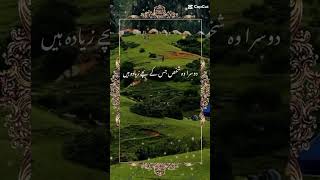 حضور صلی اللہ علیہ والہ وسلم نے ارشاد فرمایا اے عمر اگر مجھے لوگوں کے سست ہو جانے کا ڈر نہ ہو