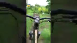 Mtb noon #shortviral #shorts #mtblife #downhillmountainbike #downhill #downhillbiking #ismatv