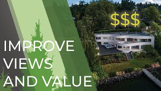 Tree Trimming Can Improve Both Home Value and Views