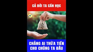 🎯 Cả đời ta cần học