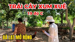 (Chủ nhà lên giá) Nhà vườn ven Đà Lạt|Cô chú lớn tuổi bán vười trái cây sẵn nhà cấp 4