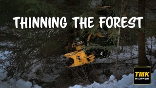 THINNING WOODS WITH A SMALL EXCAVATOR! // JCB 55 Z-1, TMK 200-F, Engcon EC206 rototilt EC-OIL