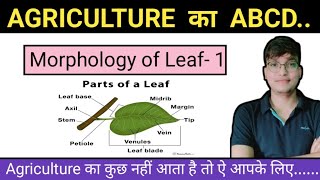 Morphology Of leaf - 1 // Agriculture का ABCD //कुछ नहीं आता है तो ऐ आपके लिए.. 🔥🔥