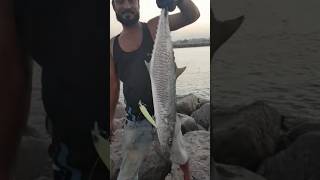 👑🐟 Fish #fishing 👑🐟🎣#youtubeshorts #shortsfeed #trending #big #catch 💯🎣⚡😎💪