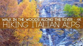 Villanova to Rifugio Jervis in 4K || Hike Italian Alps in Autumn 🍂 || LoFi || DJI Pocket Cinematic