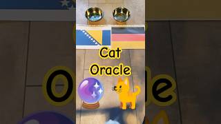 Cat Oracle predicts Bosnia Herzegowina vs Germany Nations League