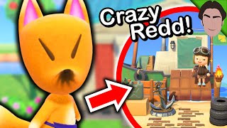 SCAMMING Crazy Redd in Animal Crossing New Horizons!