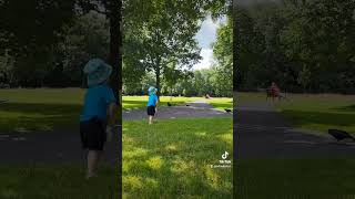 Just another weekend in the park #ireland #toddlers #shorts