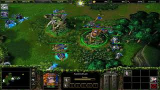 Warcraft 3 Reign Of Chaos Night Elf Campaign Eternity's End Miss 4 The Druids Arise Hard