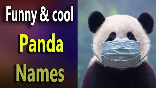 Panda Names Funny &cool. Cute Panda names. Boy & girls Panda names. Famous minecraft Panda names.