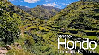 BARRANCO HONDO - Lomo de BAJALOBO (abril 2021) #GranCanaria #BarrancoHondo #Juncalillo