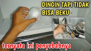 SALAH SATU PENYEBAB KULKAS DINGIN TAPI TIDAK BISA BEKU