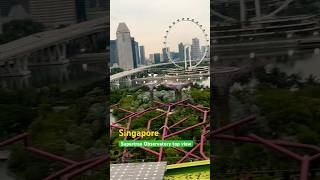 Supertree Observatory top view #singapore #supertreegrove #explore #explore #instagram #shortvideo