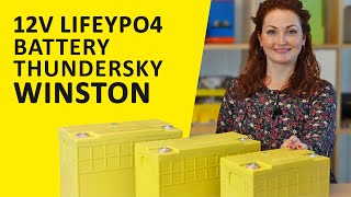 ThunderSky Winston 12V LFP Battery | Presentation