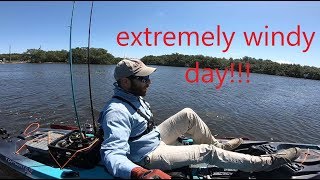 hard windy day at cockroach bay!