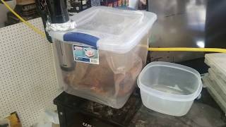 Sous vide $6 Sterilite container 7 tri-tips at one time Cisno review tips pointers