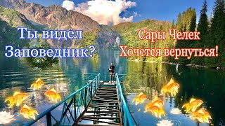 Киргизия Заповедник Сары-Челек