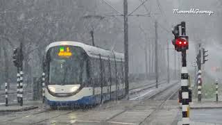 Snow storm in Amsterdam | Tram arrives in heavy snow.