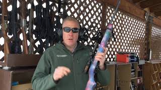 How a Ruger 10/22 rifle works!