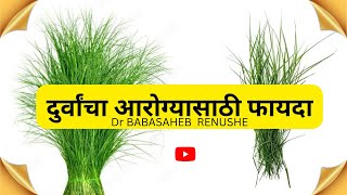 दुर्वांचा आरोग्यासाठी फायदा #durva grass