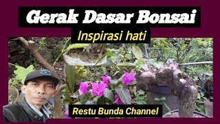 GERAK DASAR BONSAI INSPIRASI HATI #alamseru #KarakterDasarBonsai